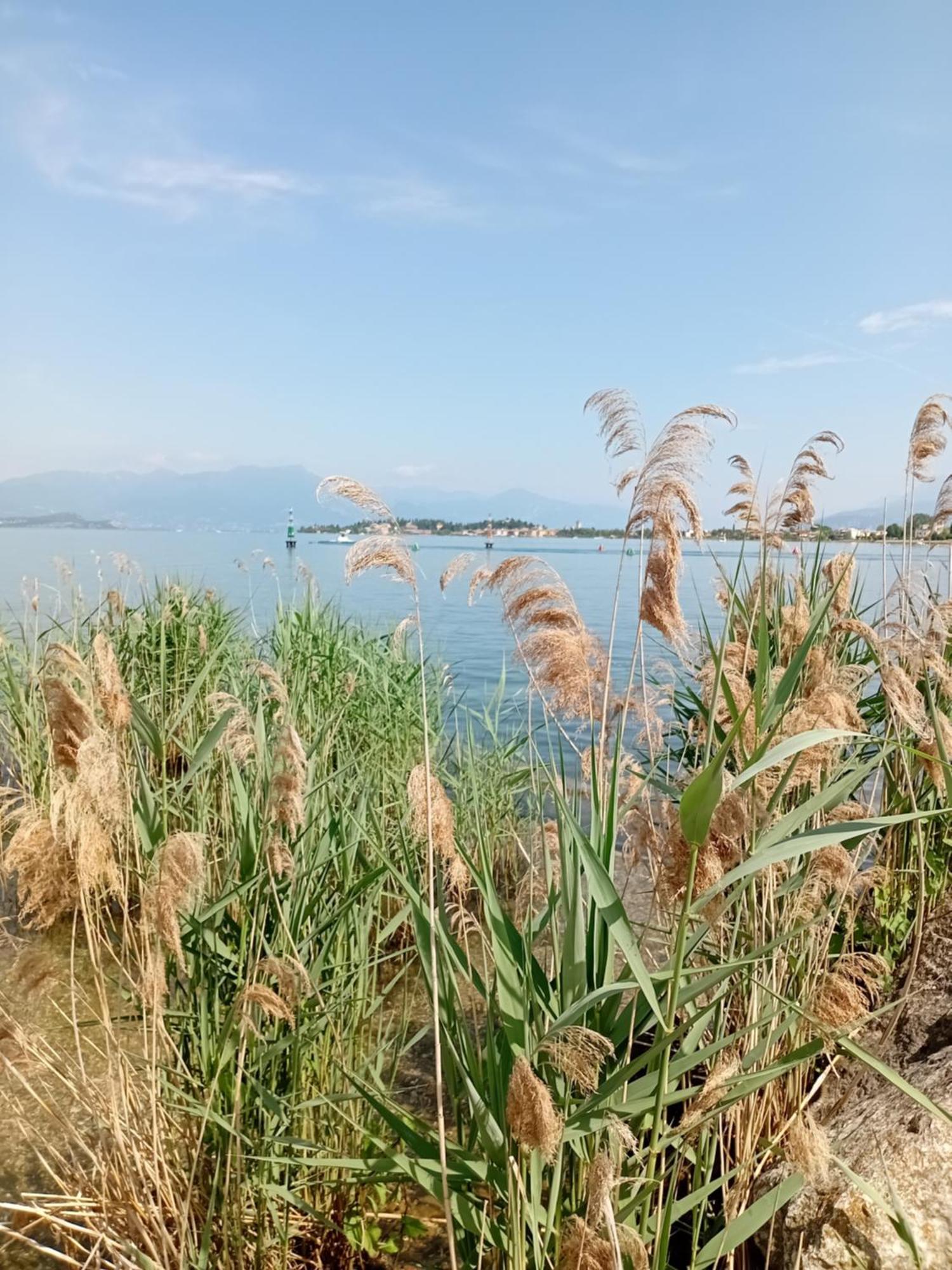 Miragarda Sirmione Leilighet Eksteriør bilde